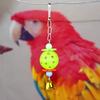 Colors Pet Parrot Toy Egg Bell Ball Hanging Petal Beads Parrot Toy Ball Pet Supplies Home Decroation Bird Supplies Sale
