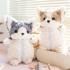 Plush Corgi Pencil Case Large Capacity Stationery Box Creative Animal Stationery Organizer for Pens Pencils Erasers