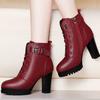 Fashion Autumn Women's Platform Shoes New Plus Velvet Chunky Heel Heeled Ankle Boots for Women Winter Keep Warm Ladies Short Boots