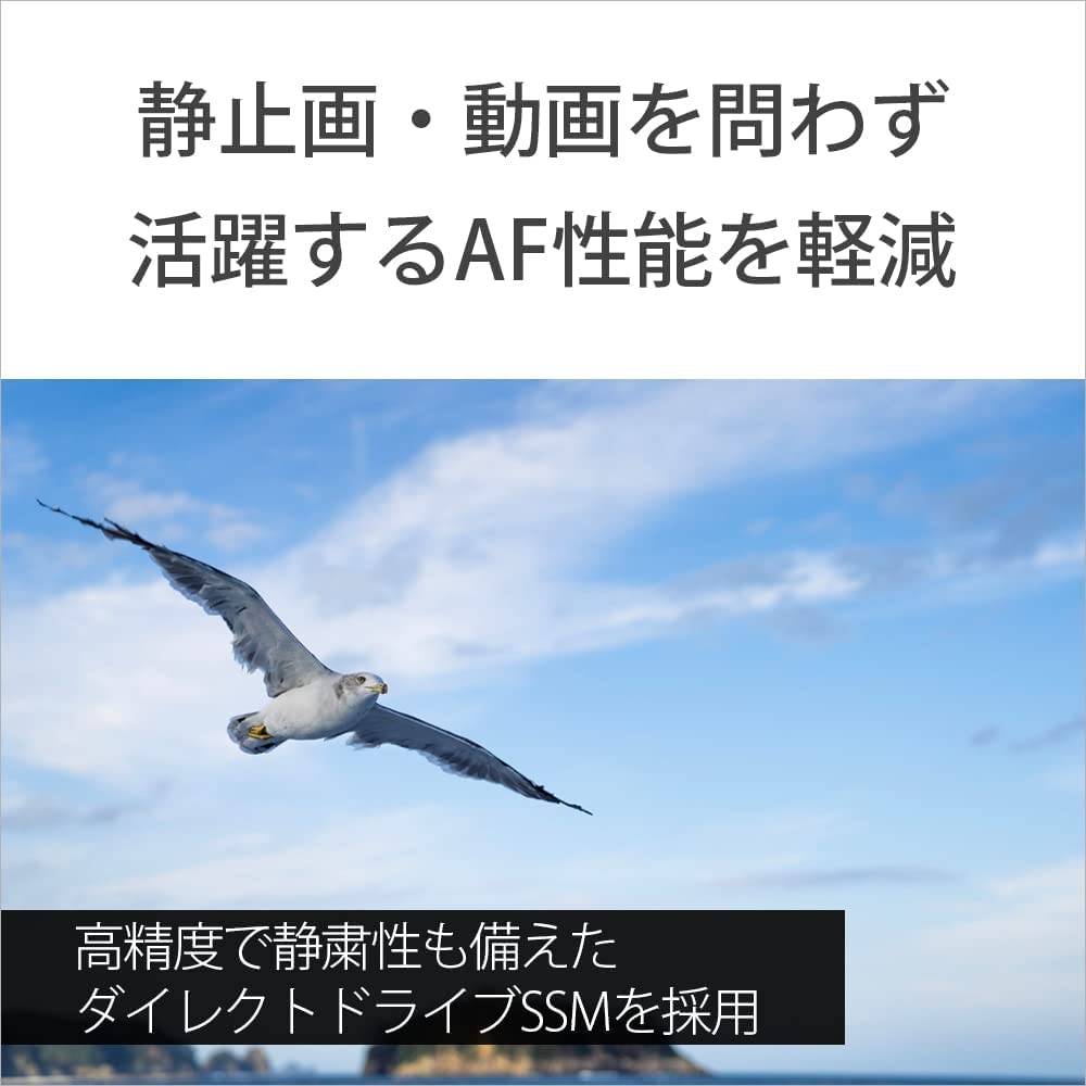 Sony Стандартный зум-объектив полного размера FE GM G Master Genuine Lens для цифровой однообъективной камеры SEL2470GM 24-70 мм F2.8 [крепление E]