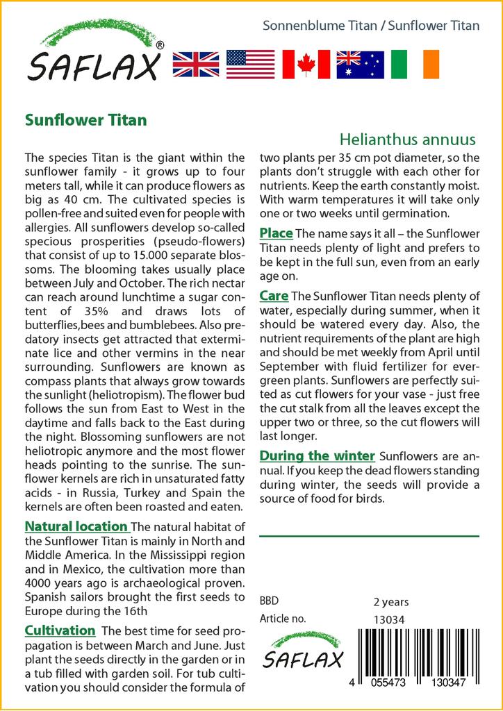 SAFLAX Подсолнечник Титан - 20 семян - Helianthus annuus