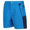 Regatta Childrens/Kids Sorcer Mountain III Shorts