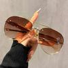 Toad Shaped Sunglasses Metal New Retro Plain Sunglasses High-end Women's Street Pography Trend Sunglasses