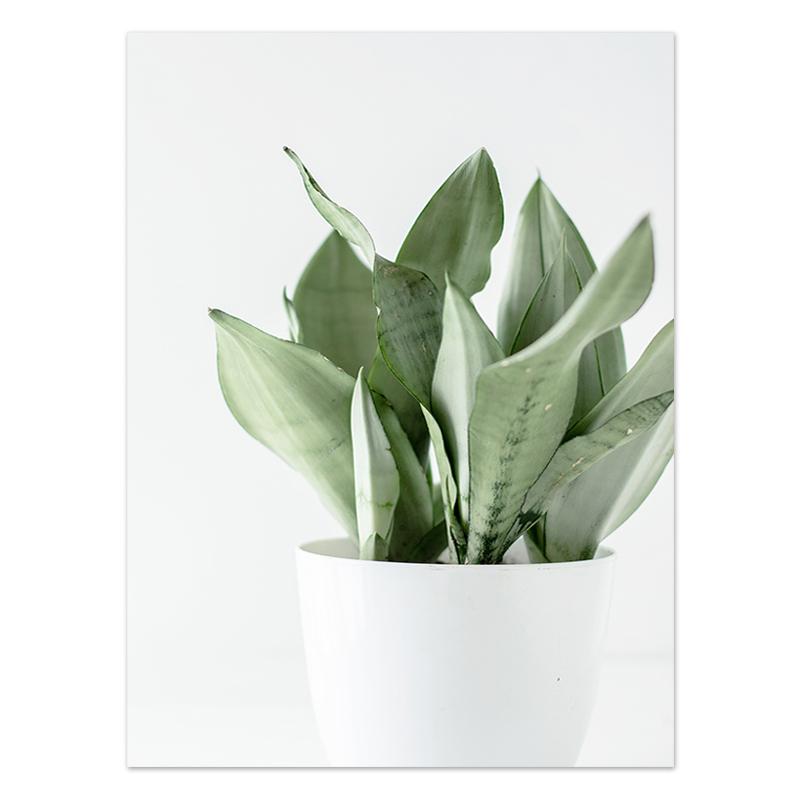 Абстрактное зеленое растение, природа, холст, живопись, скандинавское настенное искусство, листья, постеры, принты, цитаты, картинки для гостиной, домашний декор