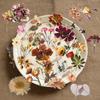 50Pcs/Set Wabi-sabi. Retro Flowers & Leaves Series 04 PET Stickers Waterproof DIY Fashion Doodle Decals Stickers