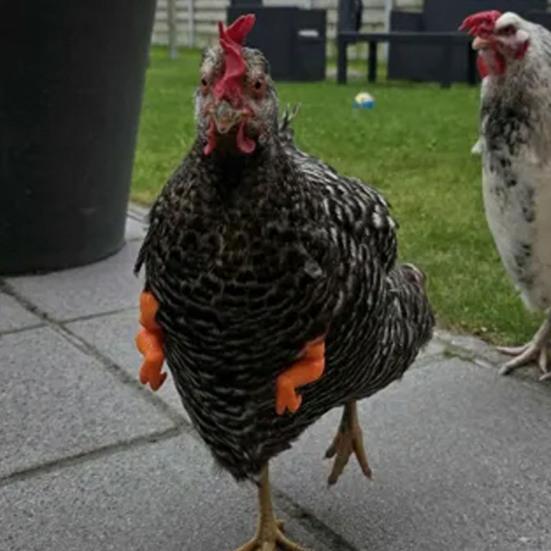 Игрушка Мышца Курицы Рука Смешной Динозавр Пародия Реквизит для Домашнего Животного Декор Предплечья Курицы Реквизит для Фотосессии Бойцовой Курицы Хэллоуин Дни Рождения Принадлежности