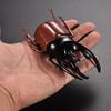 Insect Toy Joke Toys Fake Beetle Beetle Toys Insect Model Special Lifelike Model Simulation Beetle
