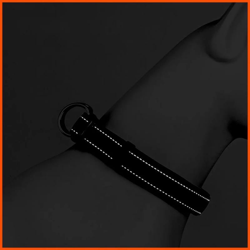 Fashion Adjustable Dog Collar Comfortable Soft Foam Padded Reflective Nylon with Double D Rings for Small Medium Large Dogs