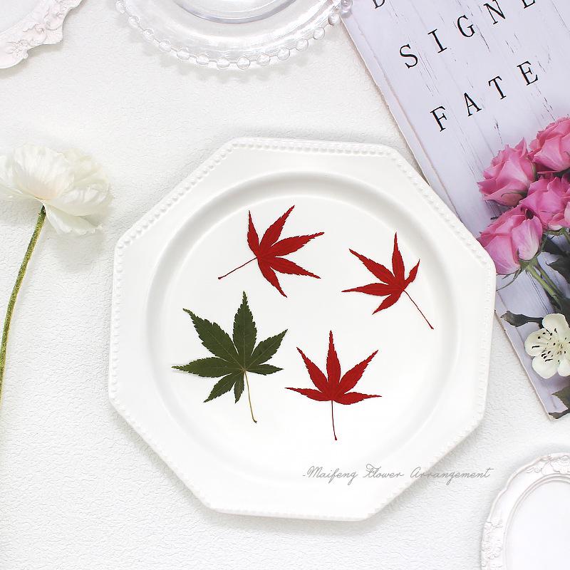 Red Maple Leaf Pressed Flower Bookmark & Epoxy Phone Case Decal
