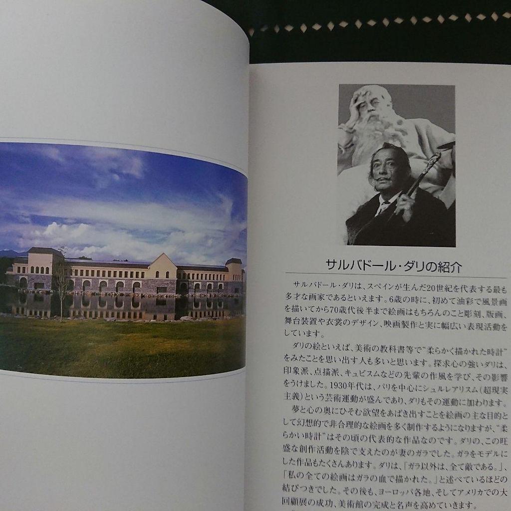 [ИСПОЛЬЗОВАННЫЙ] Каталог Дали из Музея Морохаши