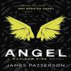 Angel A Maximum Ride Novel by James Patterson Paperback Book 9780099543787