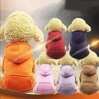 Autumn Winter Puppy Pet Hooded Sweatshirt Two-Legged Pocket Cat Dog Clothes Warm Fleece Pet Outfit