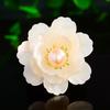 Luxurious Peony Pearl Shell Brooch for Elegant Women's Fashion Suit Jackets