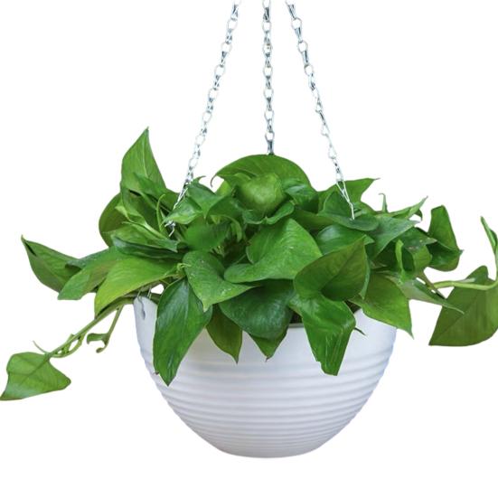 7 шт. подвесных кашпо дренаж металлические цепочки пластиковые отверстия и цветочные горшки с подвесными цветочными горшками