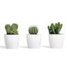 White plastic flowerpot 12x104 cm classic Magnolia