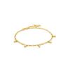 Ladies' Bracelet Ania Haie B018-01G 19 Cm