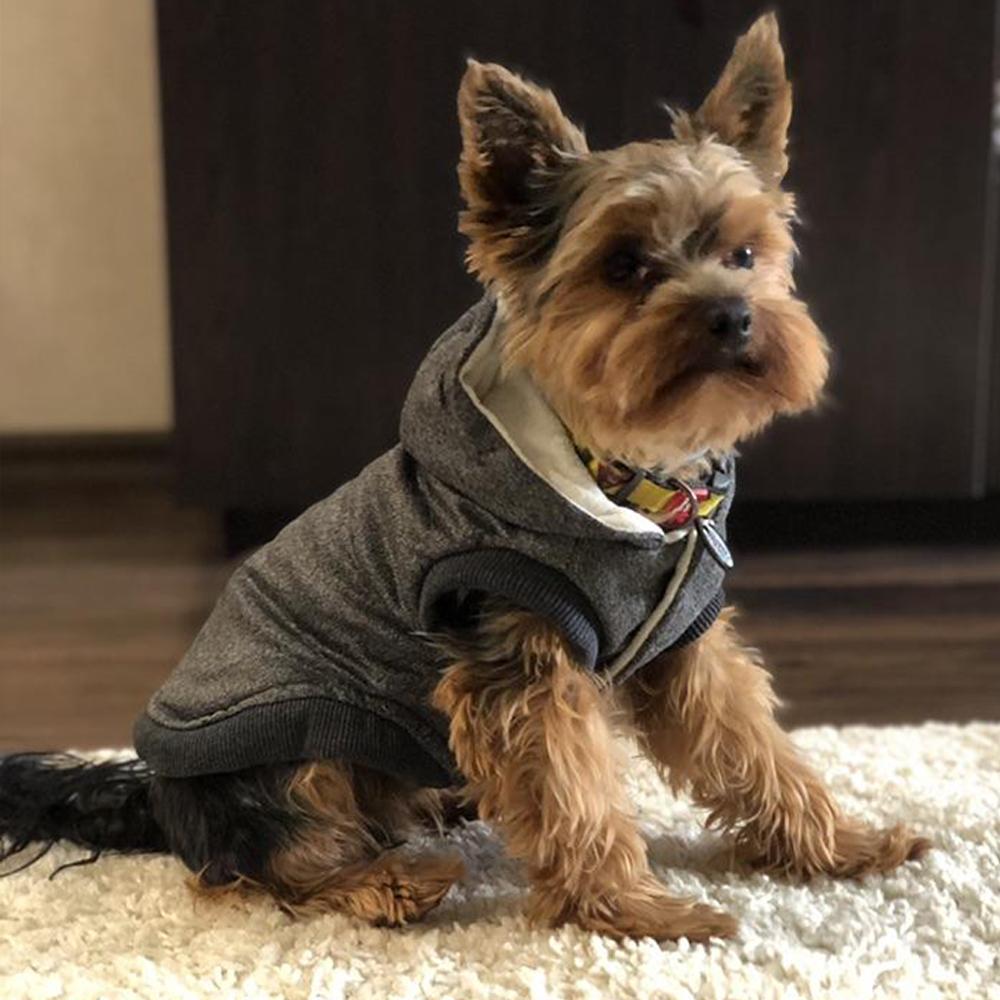 Зимняя одежда для собак, теплый хлопок для маленьких собак, флисовая куртка для щенков, мягкая куртка для собак, толстовка с капюшоном для чихуахуа, наряд для ши-тцу, одежда Yorkies Customes