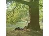 2021 ДЖОН ЛЕННОН PLASTIC ONO BAND THE ULTIMATE MIXES JAPAN 2 SHM CD UICY-79529