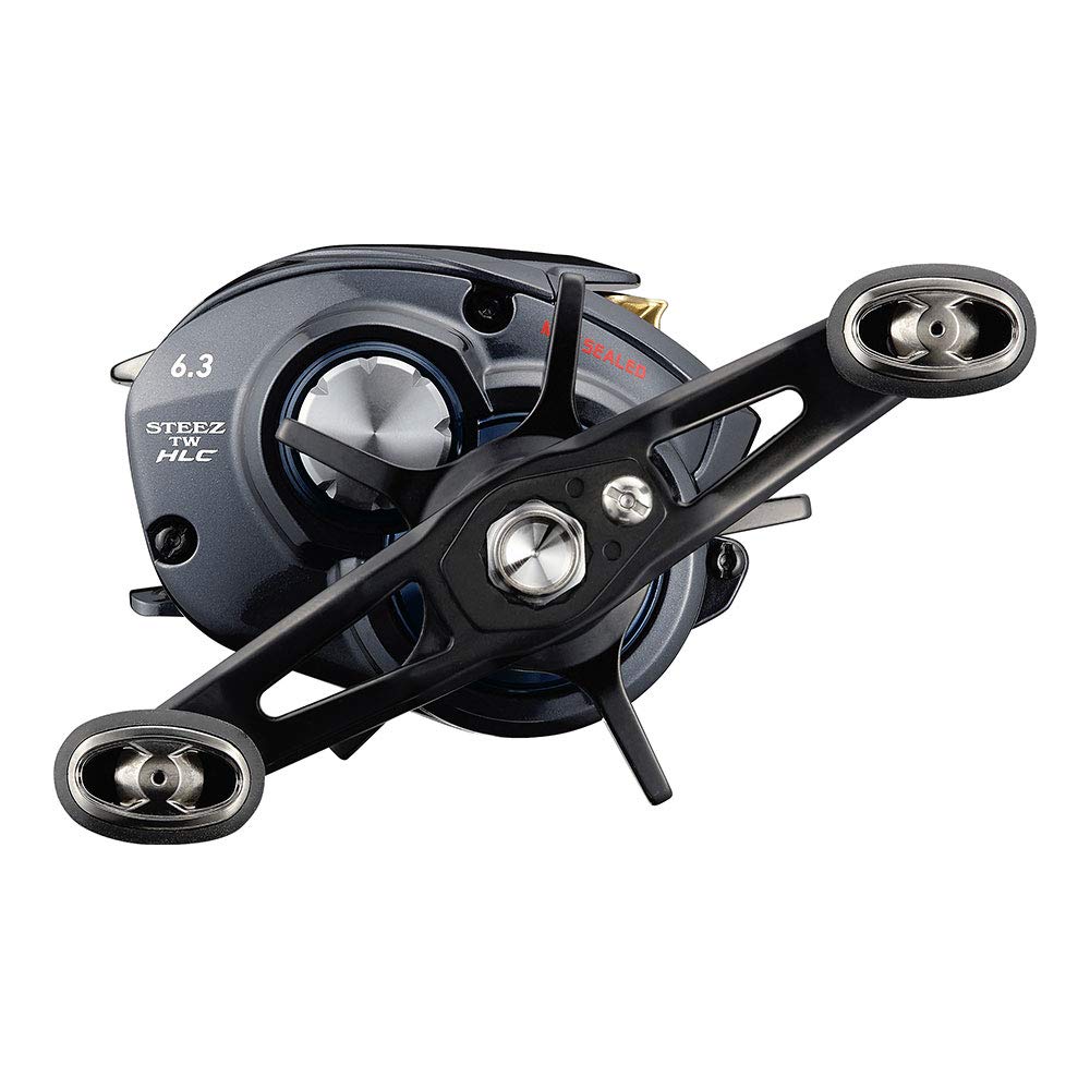 Daiwa 21 Steez A TW HLC 6.3R