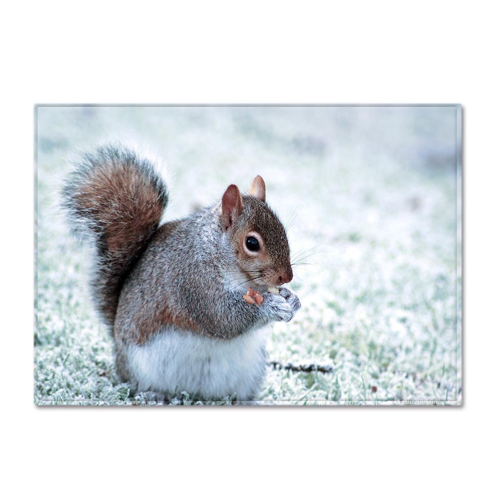 Animal Large Carpet Feather Wind Bedroom Floor Mat