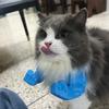 3D-печатная кошачья мускулистая рука с мускулистой шеей, подвесная рука для Хэллоуина, принадлежности для вечеринки по случаю дня рождения