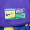 Nike Вышитый логотип круглый вырез пуловер толстовка мужская топы фиолетовый DR9987-430