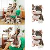 Cute Dog Plush Toy Huskies Animal Soft Stuffed Animal For Teens And Kids