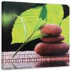 Canvas Print Zen Stones Spa Leaves