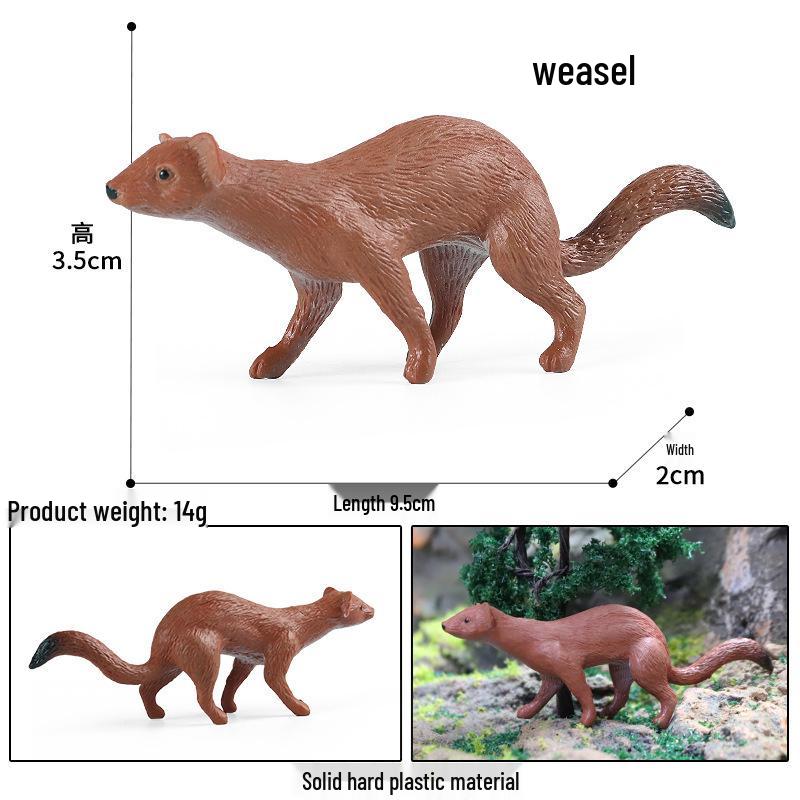 Cute Animal Models: Japanese Raccoon, Flying Squirrel, Monkey, Rabbit, Squirrel, Shiba Inu, Tiger, Lion, Lizard Toy Set