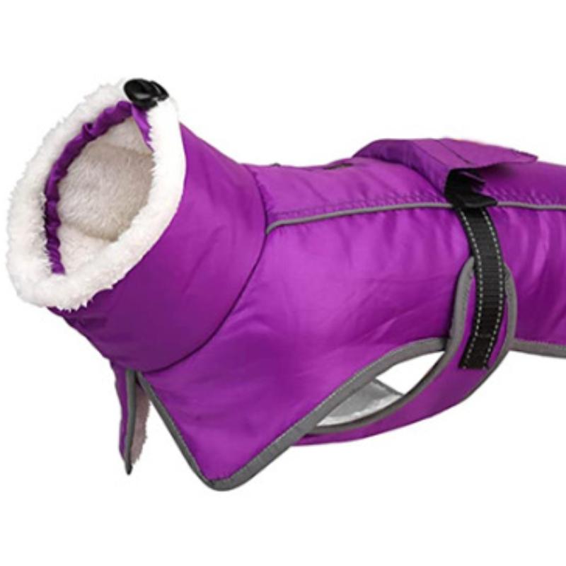 Одежда для домашних животных, новая осенне-зимняя водонепроницаемая теплая куртка с высоким воротником для собак, модная куртка для маленьких и средних собак