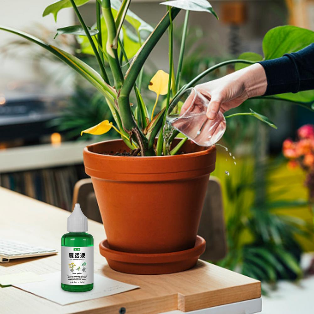 Plant Nutrients Liquid 50ml Outdoor and Soil Growing Plant Food Fertilizing Liquid Concentrate Plant Resurrection Liquid Fertili