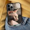 Сфинкс Кот Сфинкс Мягкий Чехол для Телефона для iPhone 17 Air 16e Pro max 15 Pro 13 14 Plus 11 12 MagSafe Магнитный Чехол