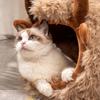 Мягкие Зимние Теплые Пещеры Для Питомцев Кроватки-Пещеры Для Кошек Гнезда Для Домашних Кошек Полузакрытые Палатки-Кроватки Для Собак С Чехлом Гнезда Для Котят Маленьких Животных