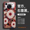 Применимо к чехлу для мобильного телефона Huawei pura70pro, новый чехол pura80pro + premium female p60art p70 магнитный