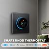 Wifi Digital Display Intelligent Knob Temperature Controller Multifunctional WaterElectric