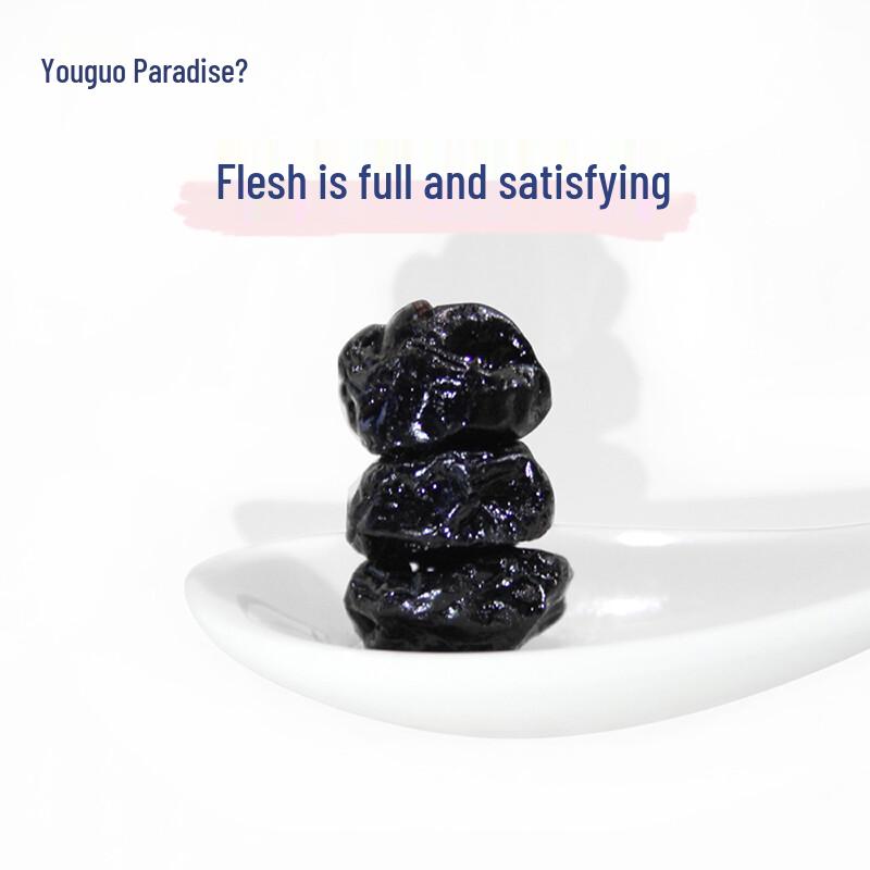 Youguoleyuan No Added Sugar Dried Blueberries 250g