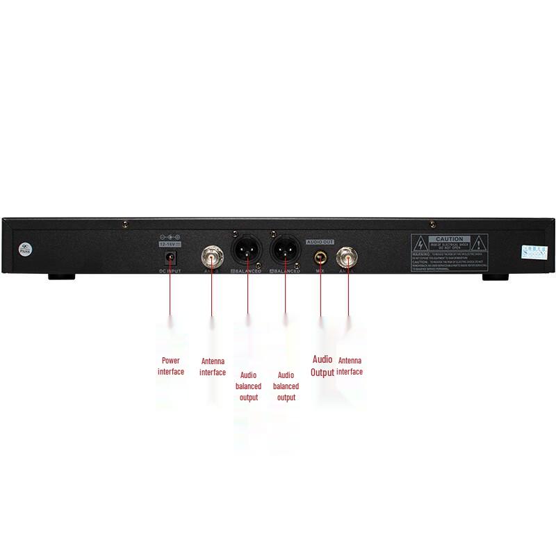 LingSheng DB2 Профессиональная аудиосистема для KTV и конференций (Китайская версия)