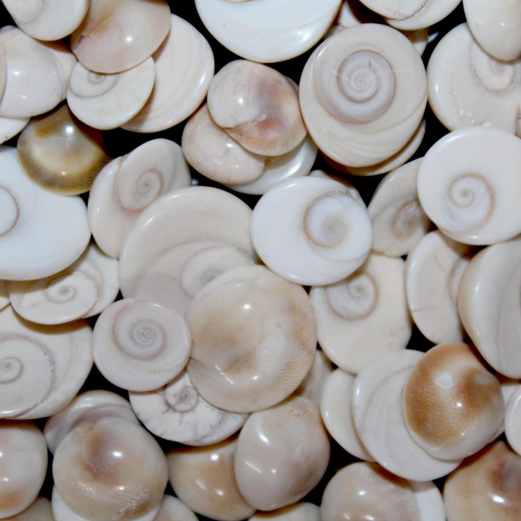 Кристаллический минерал | Ювелирные изделия с драгоценными камнями | Шива глаз | Драгоценный камень глаза Шивы | Кабошон глаза Шивы | украшения для глаз Шивы | Кольцо в виде глаза Шивы | Оптовые продажи