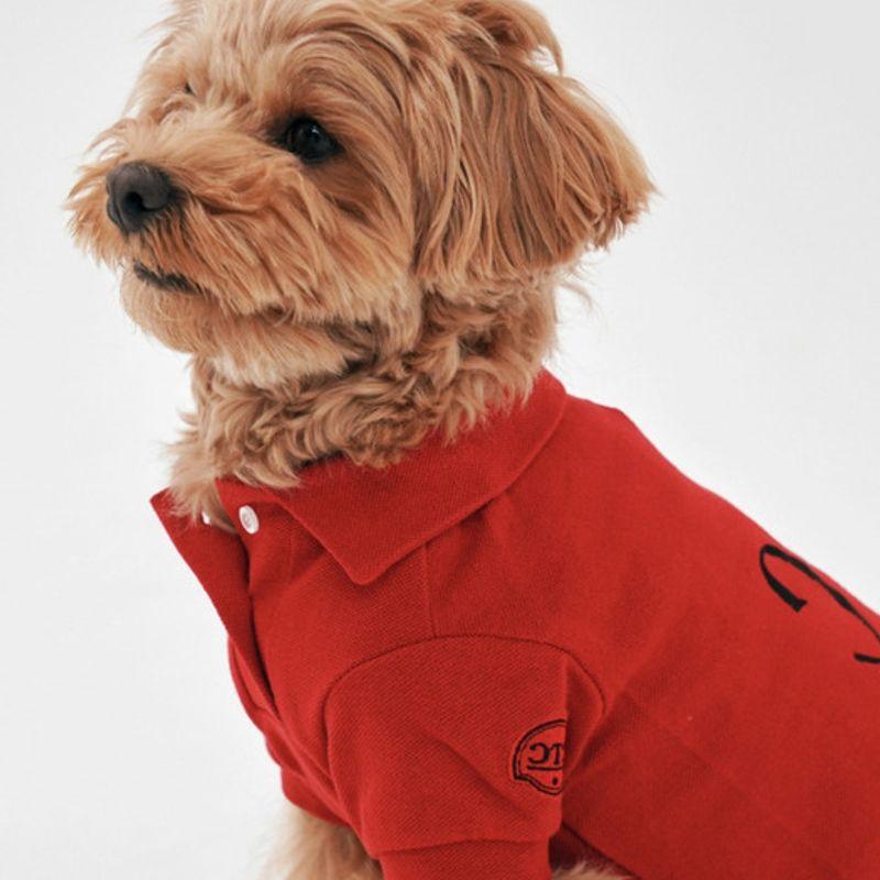 CROOKTHECHIHUAHUA Стандартный топ половинной длины ( 6color )