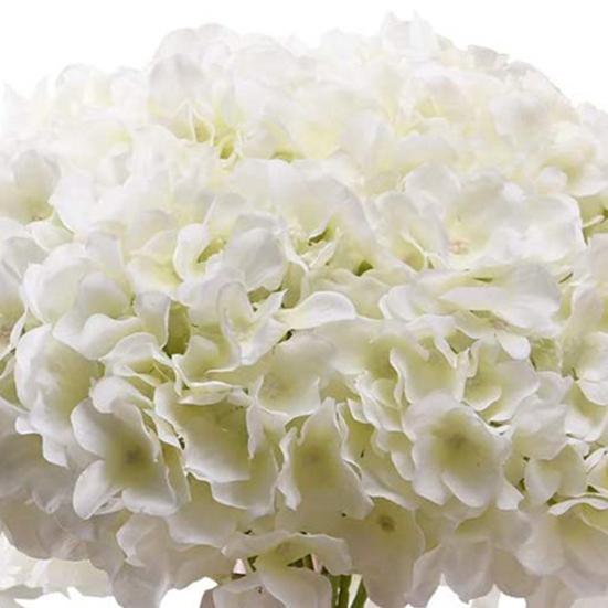 Имитация Гортензии Декоративная DIY Cut Бесплатная Креативная Необслуживаемая Бессмертный Цветок Домашний Декор