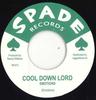 7inch Record EMOTIONS  HIPPY BOYS  Cool Down Lord  Skinheads Dont Fe RF373 SpadeReggae Fe 2024 Europe Reggae Ska  Dub