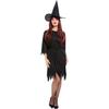 Smiffys Womens/Ladies Spooky Witch Costume