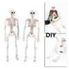 1 PC Party Supply Anatomical Photography Props Model Halloween Bone Human Skeleton