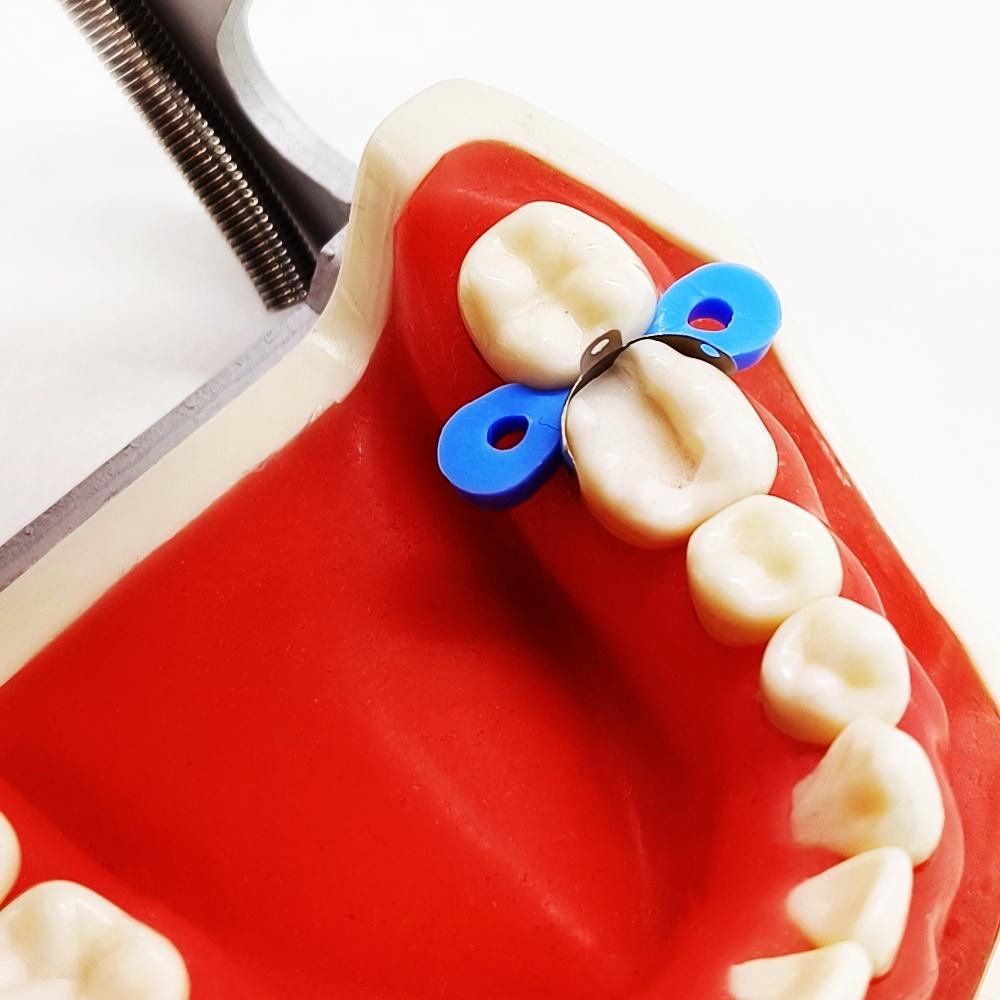 80pcs New Dental Sectional Contoured Metal Matrices Matrix Set Matrix Bands  Rubber Wedges  with Add-on Wedges Dentist Materials