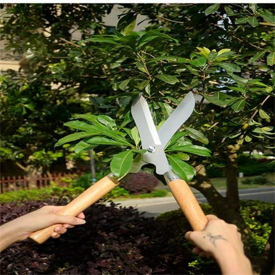 Удлиненные садовые ножницы: Острые секаторы для цветов, травы и веток