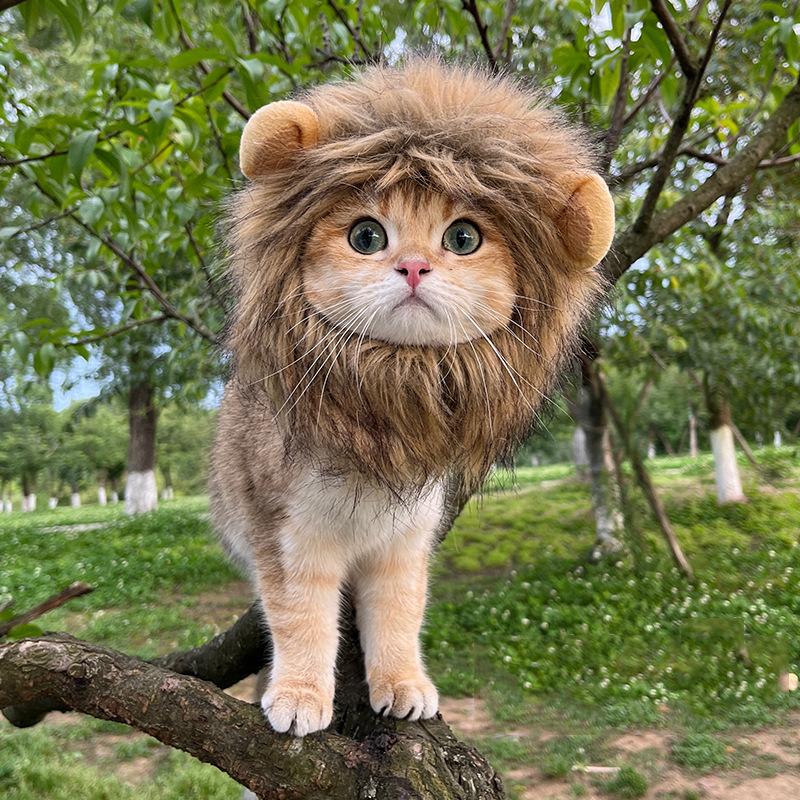 Милая кошачья шапка, забавный Хэллоуин, косплей, лев, шарф, парик для маленьких собак, кошек, котят, щенков, головной убор, мопс, креативная одежда, аксессуары