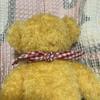 [USED] Mother Goose Forest Teddy Bear Plush Toy (Used)