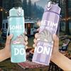 1PC Sometimes Done Cat Outline 750ml Color Plastic Sports Water Bottle Leakproof Flip Straw Lid Suitable for Sports Office Home Use