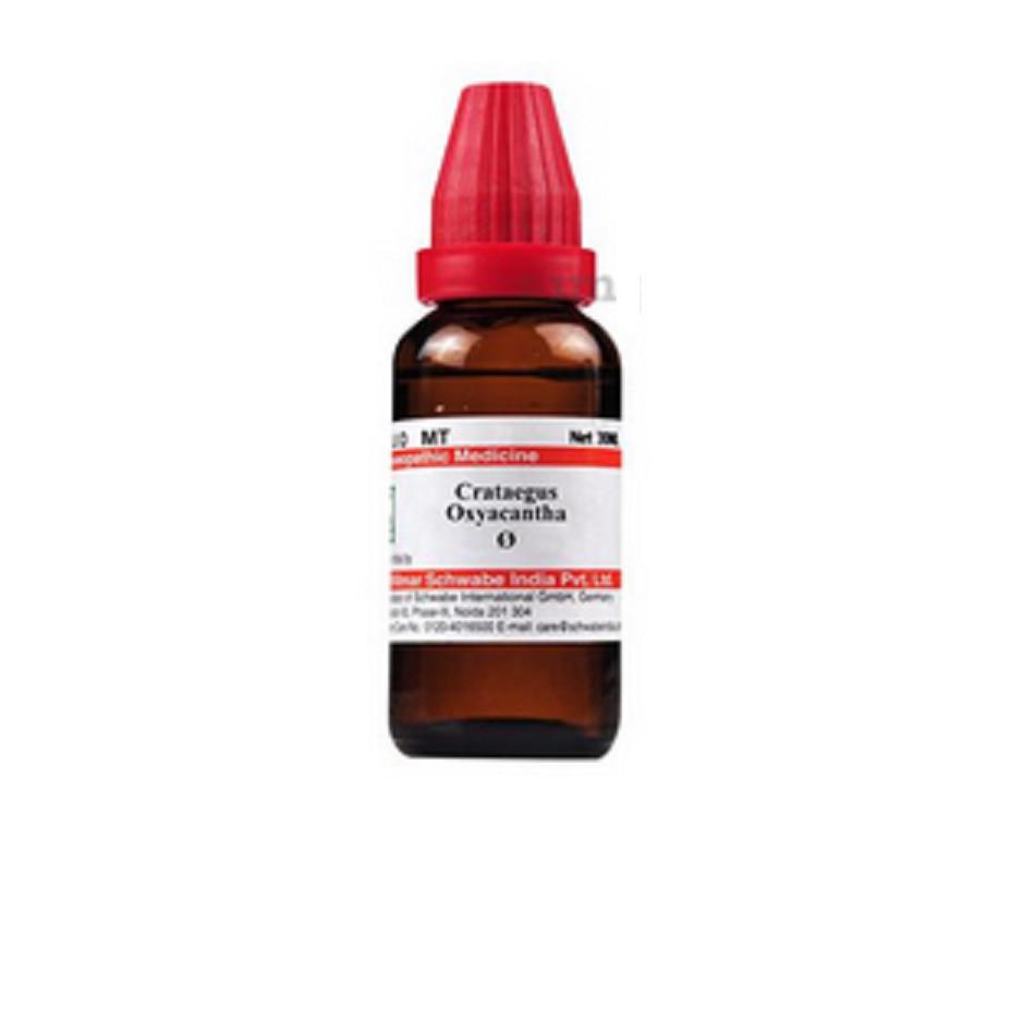 @ Dr Willmar Crataegus Oxyacantha Q Homeopathic Medicine 30ML UKR1669_60%OFF