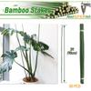 50 шт. 3-футовых бамбуковых колышков для растений, садовые колышки для комнатных и уличных вьющихся растений